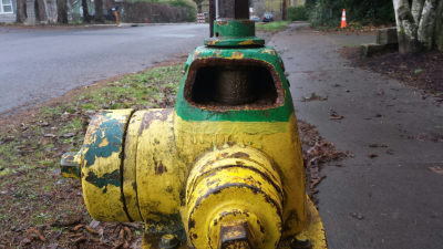Damaged Hydrant